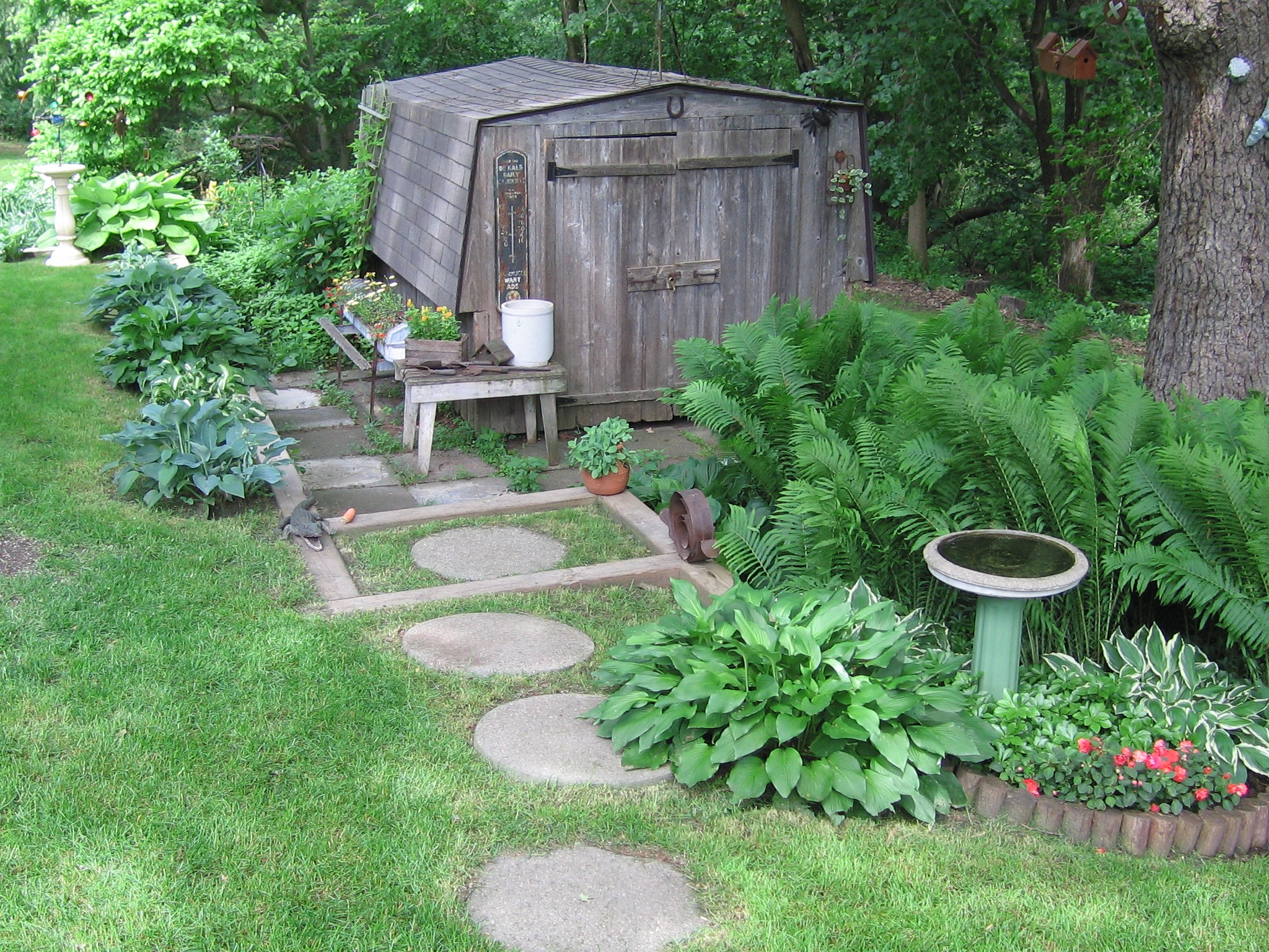 Landscaping Ideas Under Oak Trees PDF